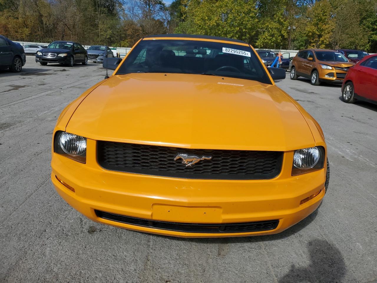 2007 Ford Mustang - Фото 5