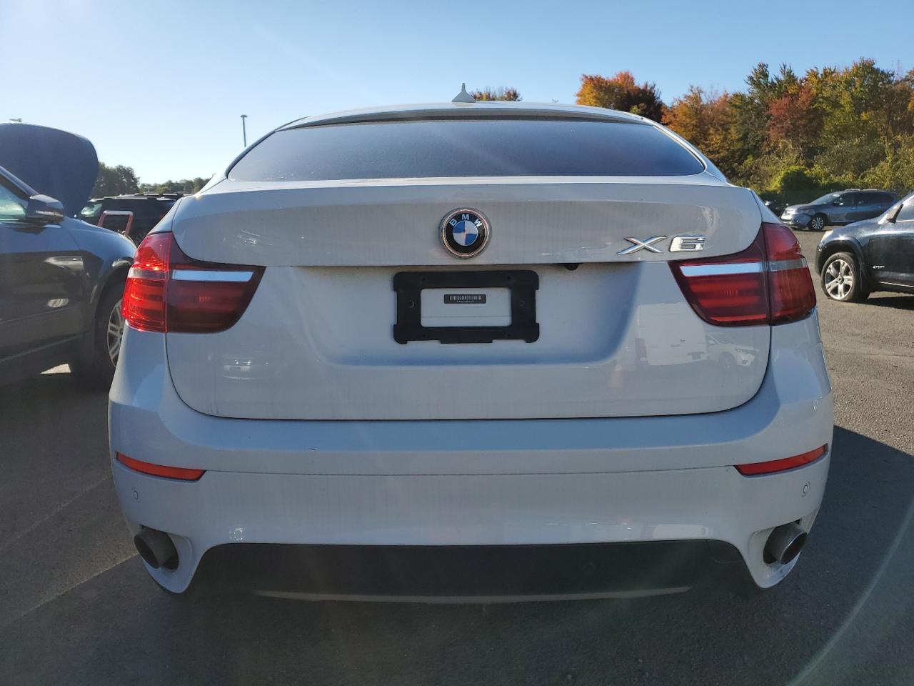 2013 BMW X6 xDrive35I - Фото 6