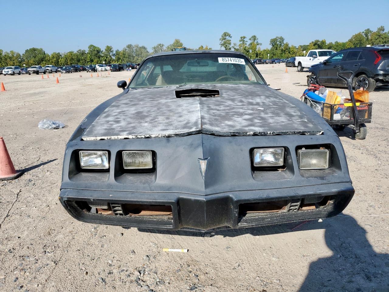 1980 Pontiac Trans Am - Фото 5