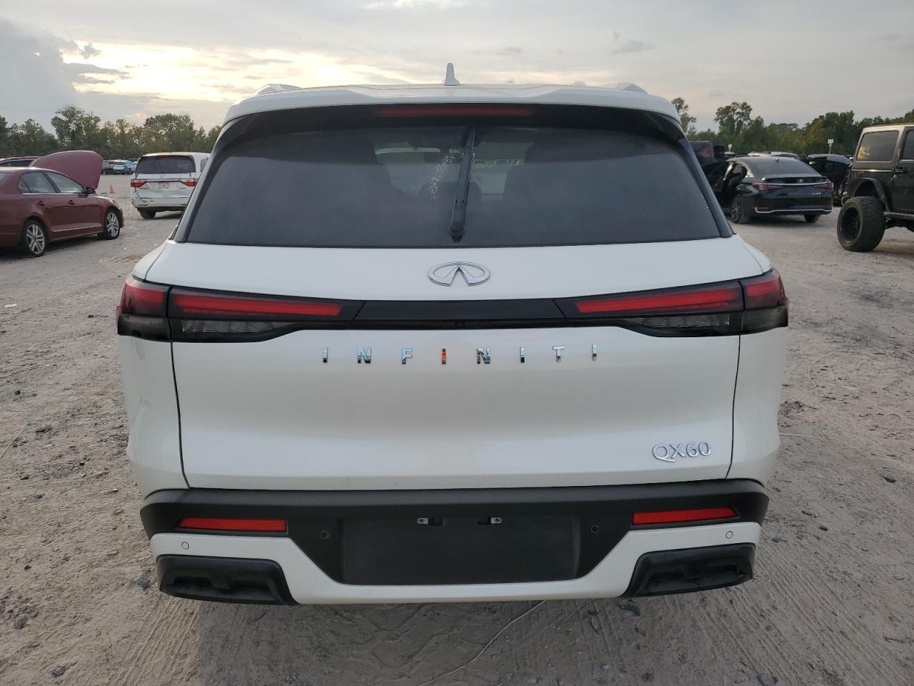 2025 Infiniti Qx60 Luxe - Фото 6
