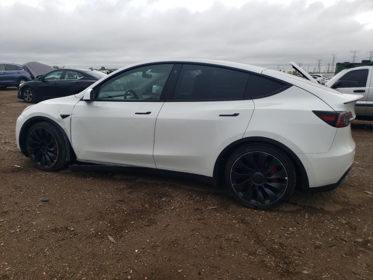2022 Tesla Model Y - Фото 2