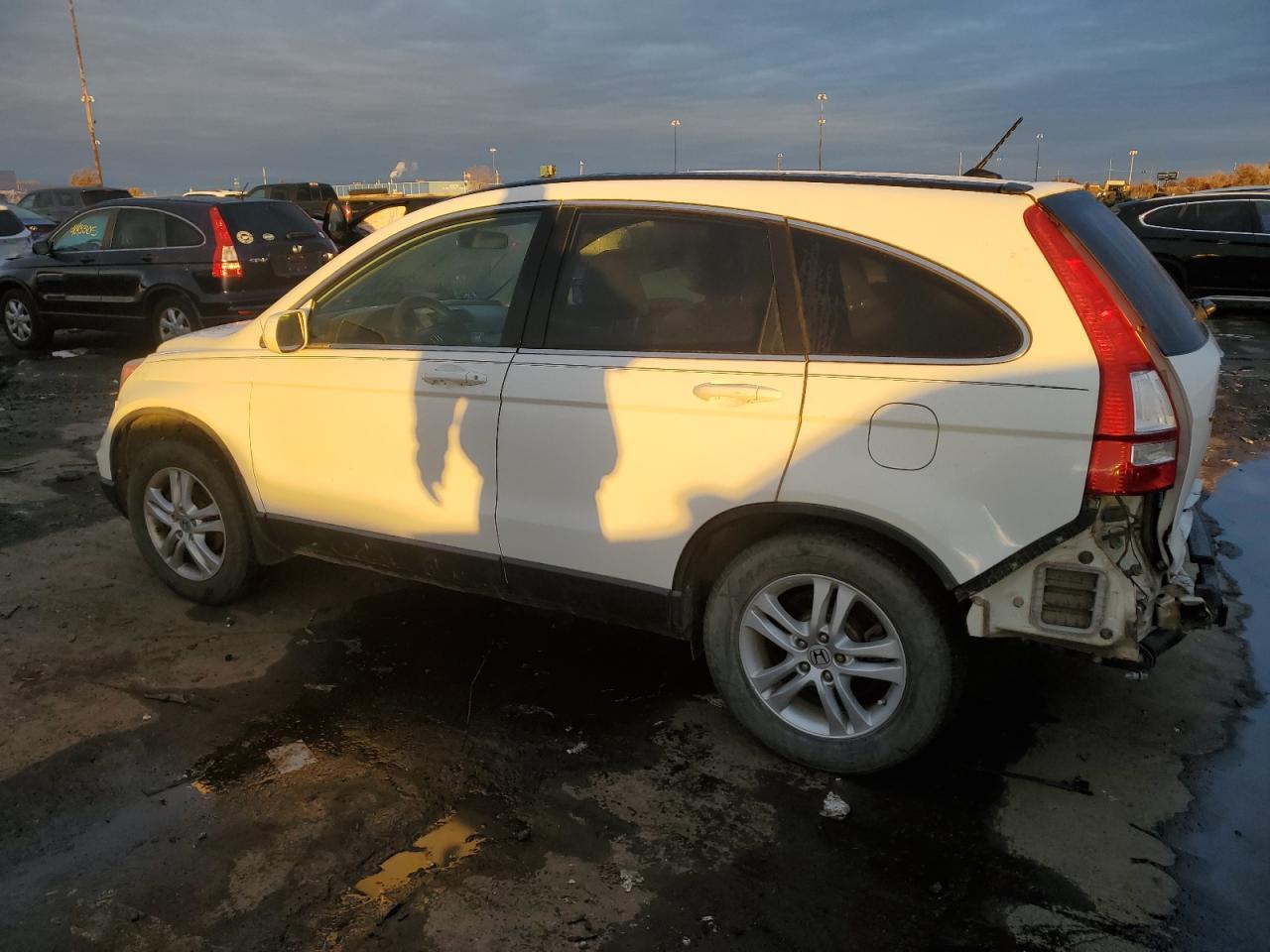 2010 Honda Cr-V Exl - Фото 2