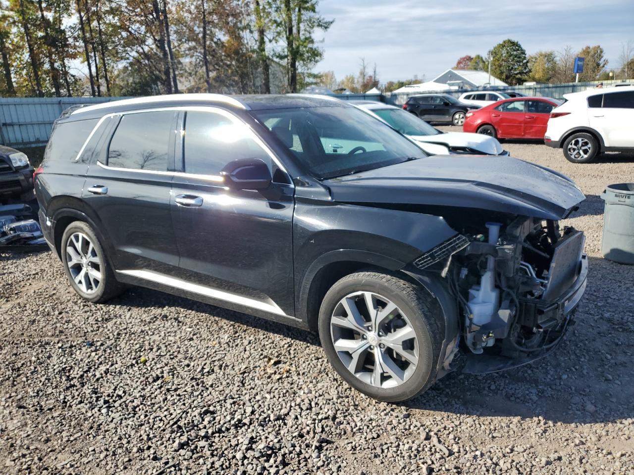 2022 Hyundai Palisade Limited - Фото 4