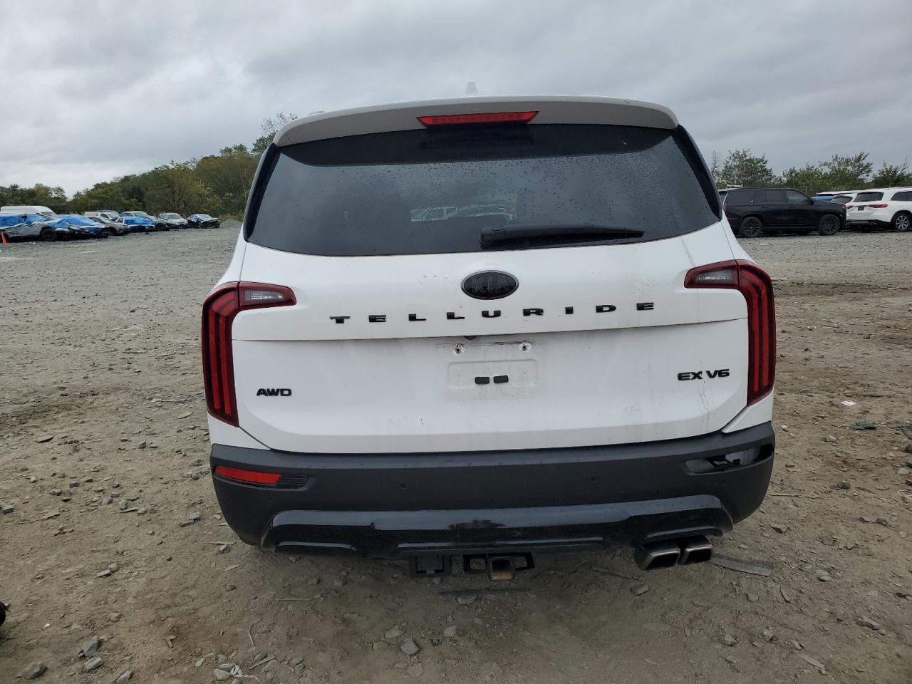 2021 Kia Telluride Ex - Фото 6