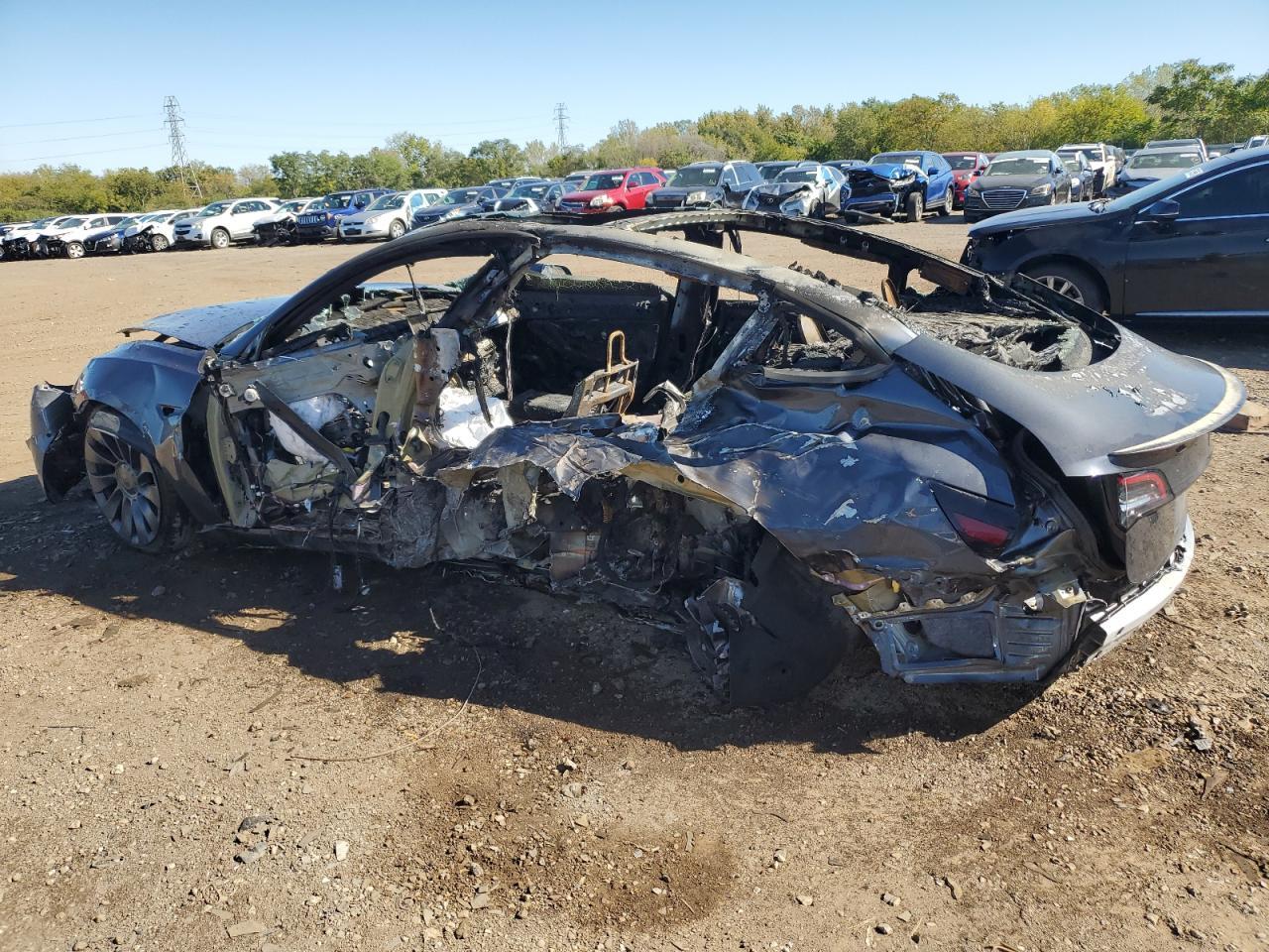 2021 Tesla Model 3 - Фото 2