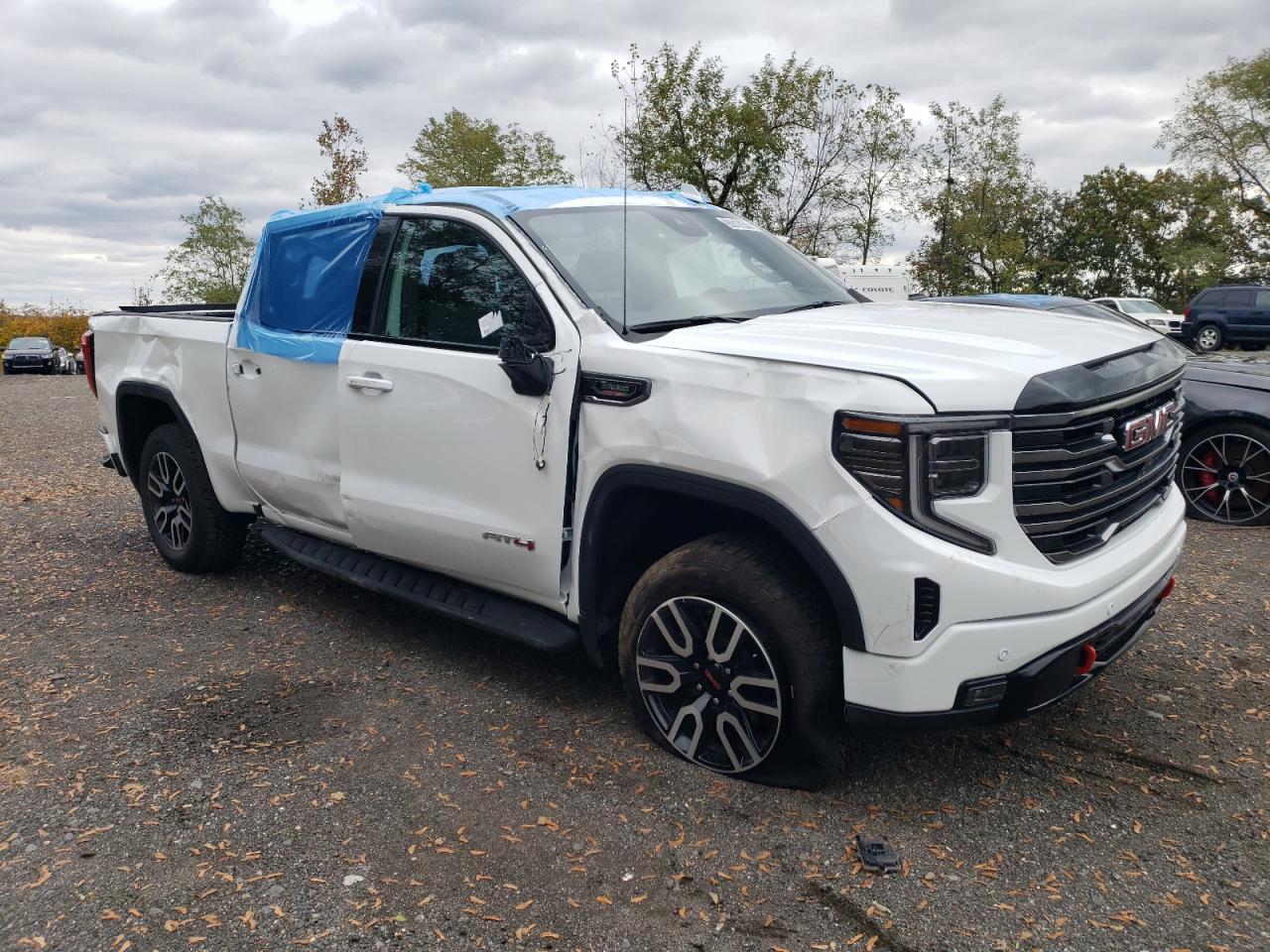 2025 GMC Sierra K1500 At4 - Фото 4