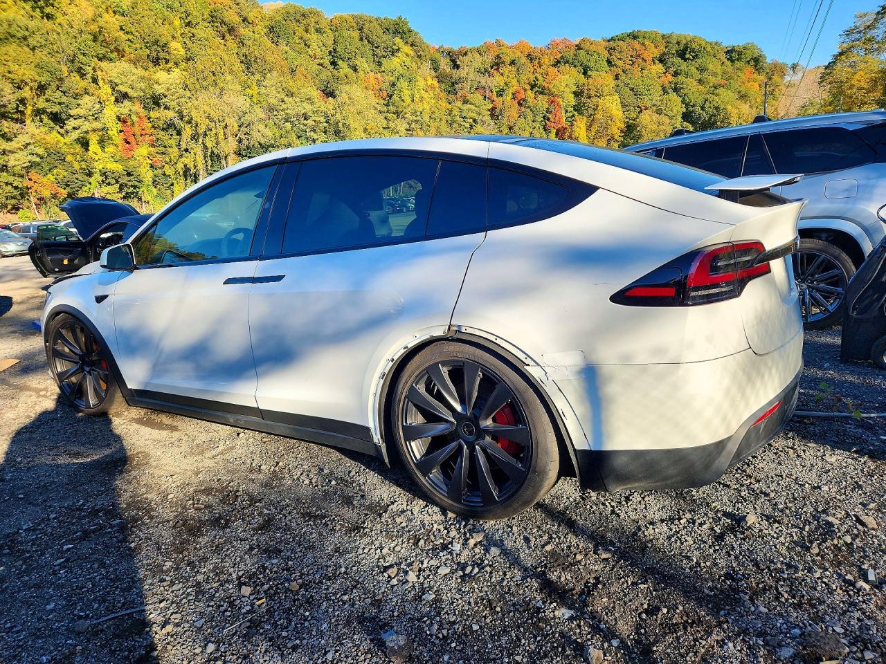 2024 Tesla Model X - Image 2