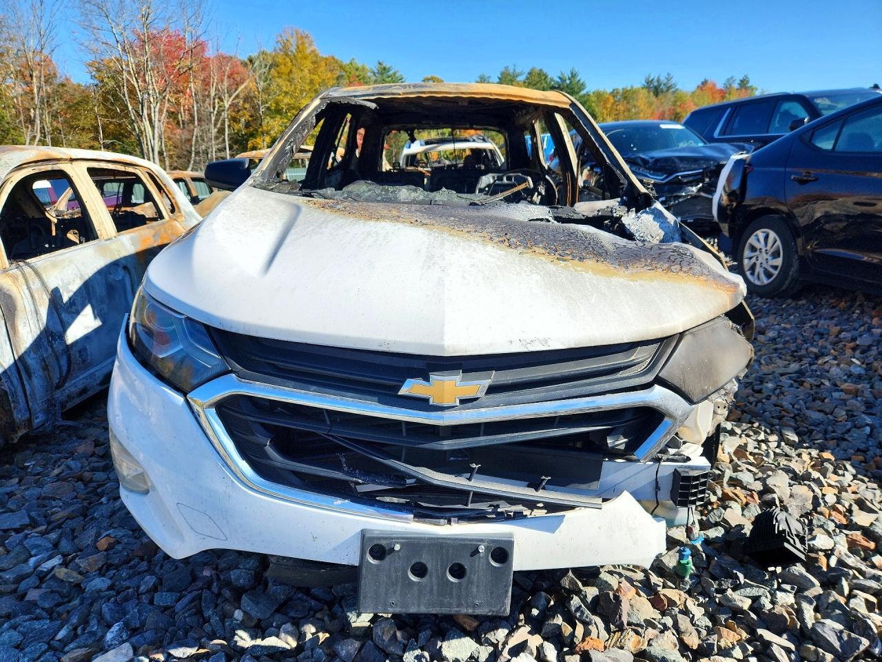 2019 Chevrolet Equinox Ls - Фото 5