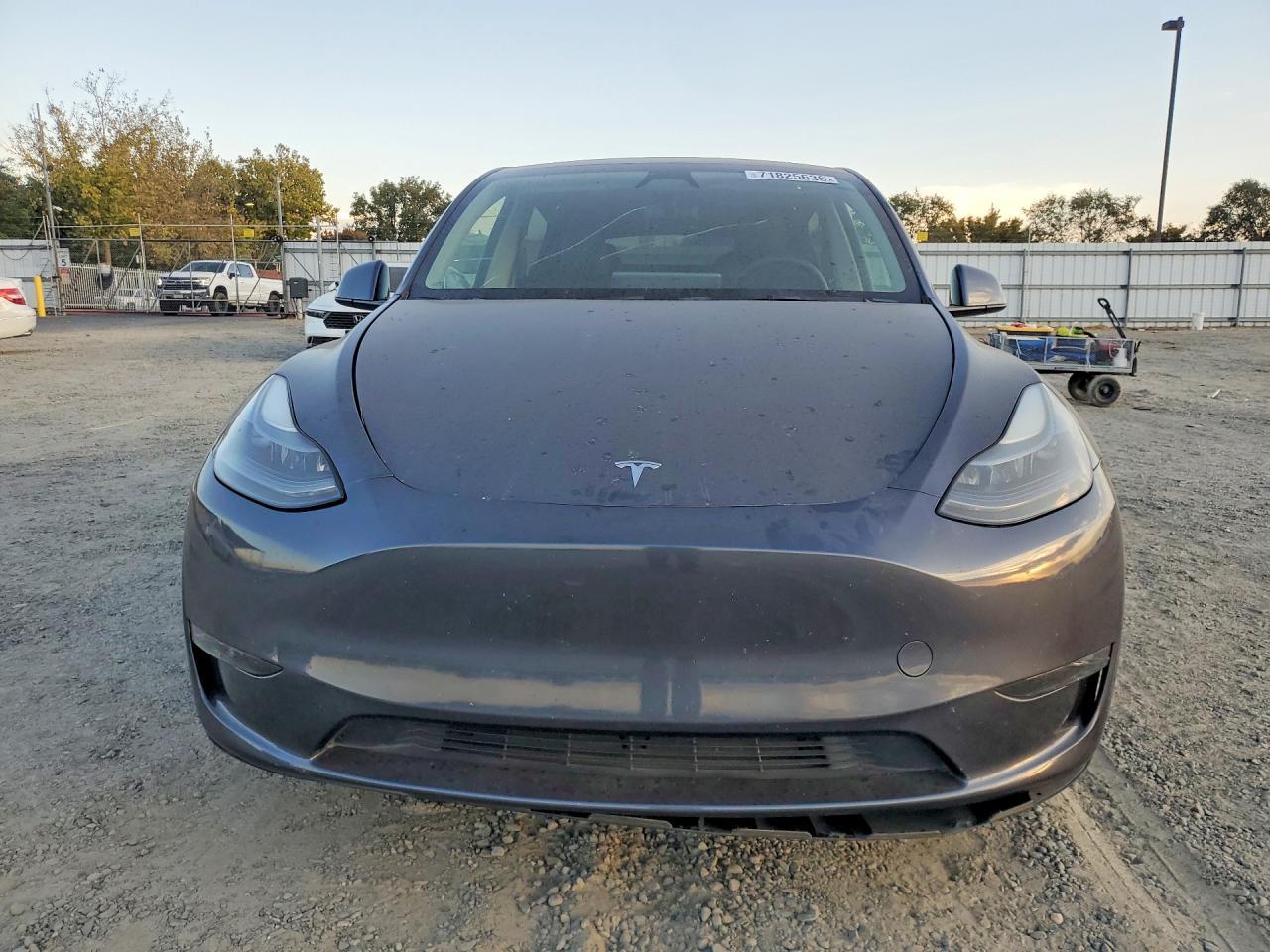 2023 Tesla Model Y - Фото 5