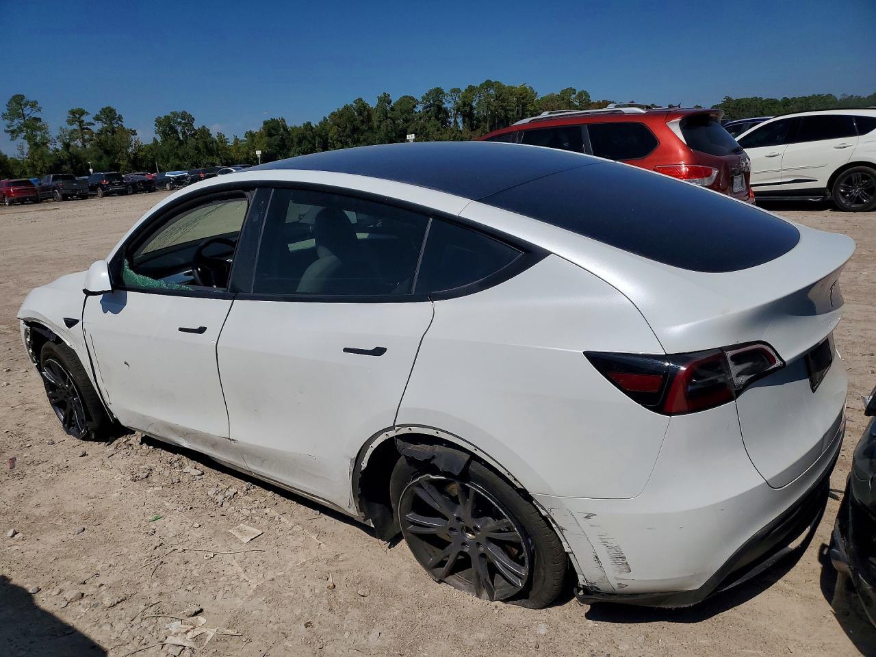 2024 Tesla Model Y - Фото 2