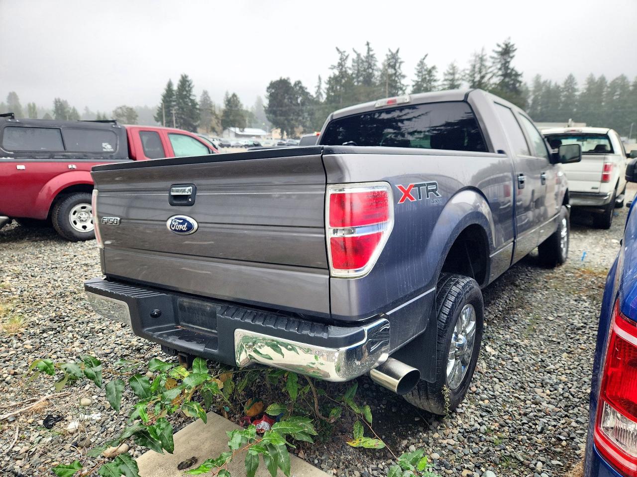 2011 Ford F150 Supercrew - Фото 3