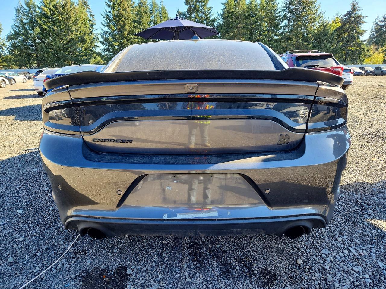 2020 Dodge Charger Scat Pack - Фото 6