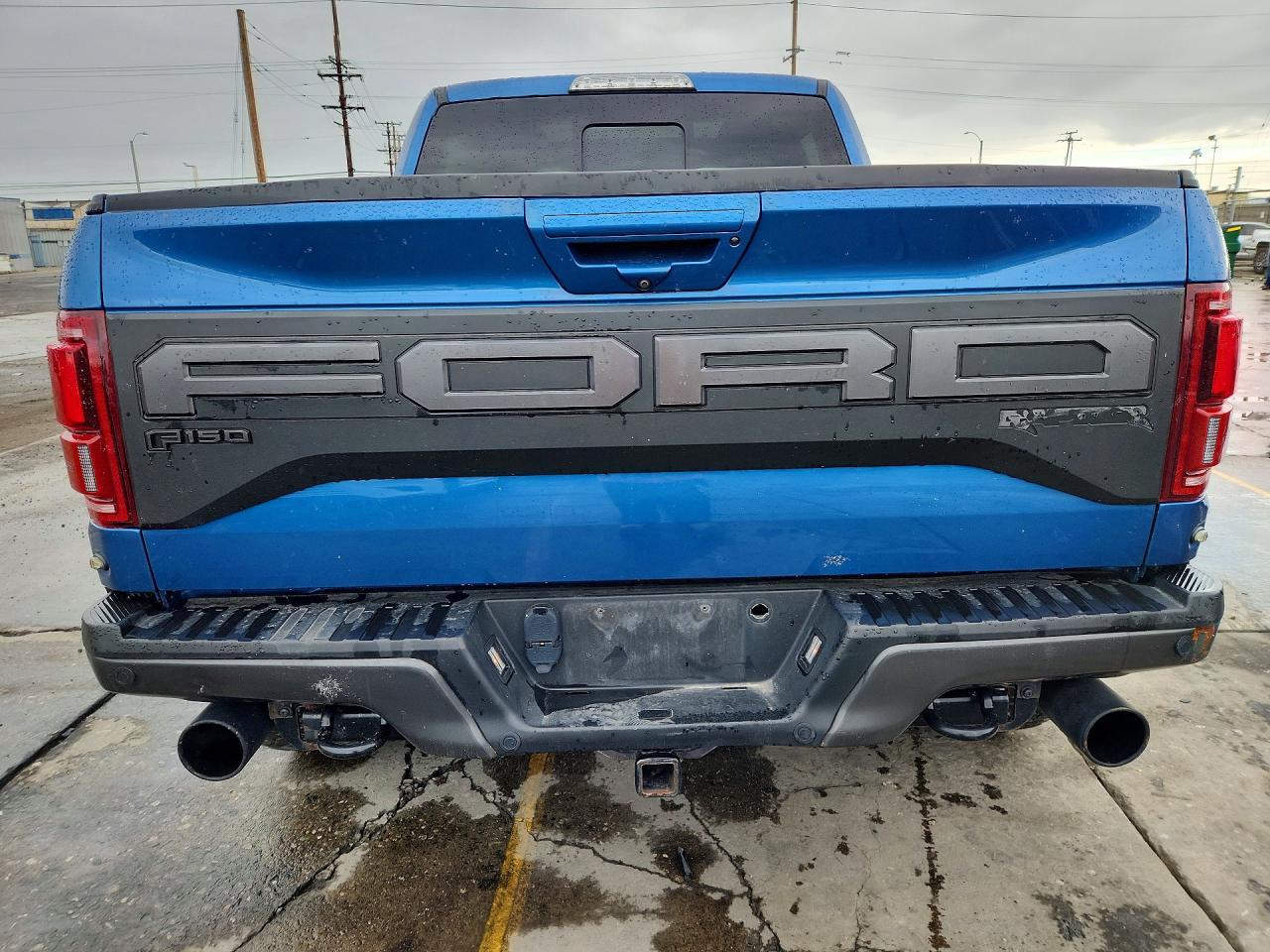 2020 Ford F150 Raptor - Фото 6