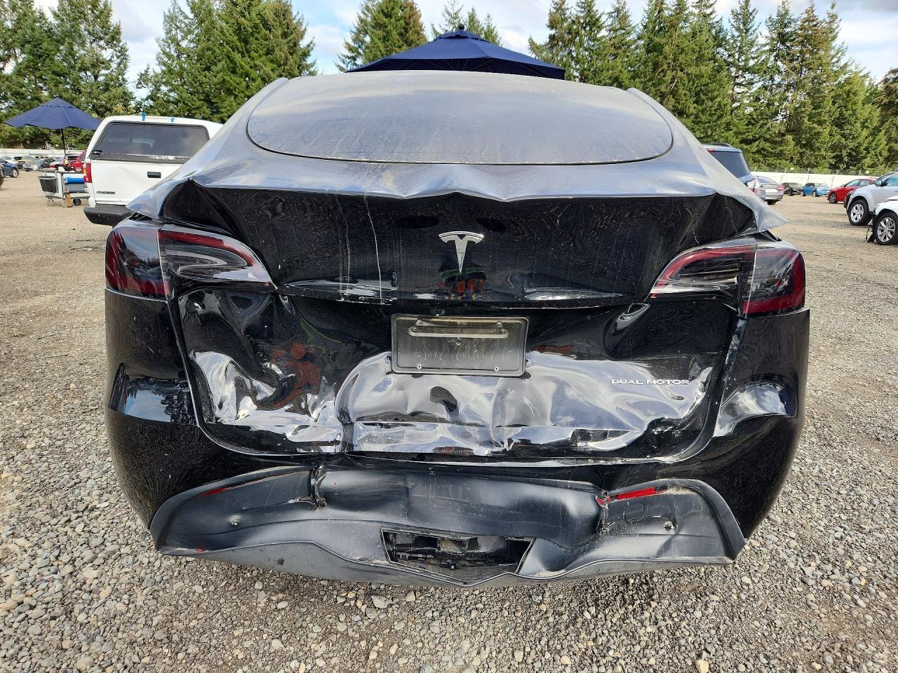2023 Tesla Model Y - Image 6