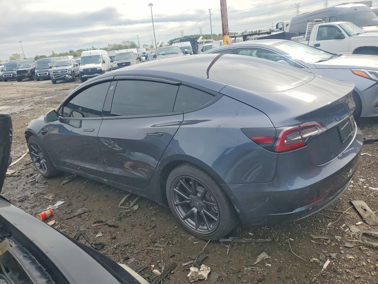 2019 Tesla Model 3 - Фото 2