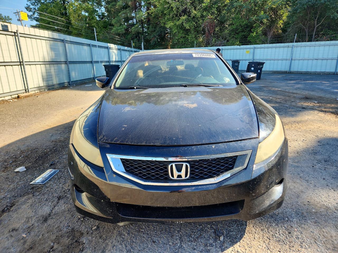 2009 Honda Accord Exl - Image 5