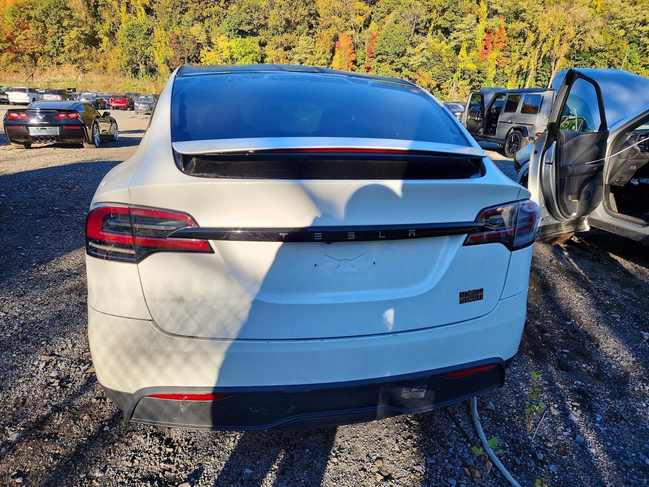 2024 Tesla Model X - Image 6