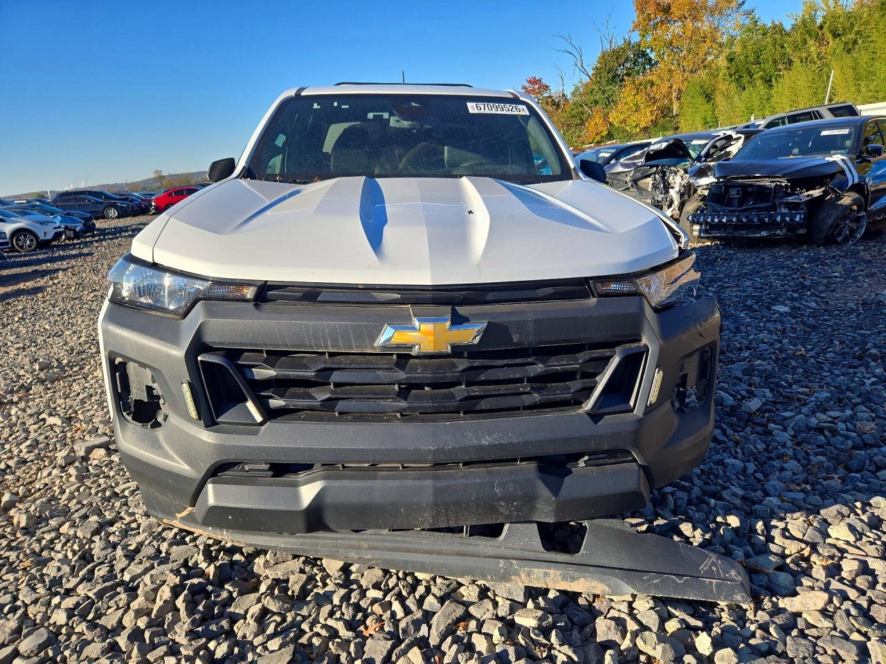 2024 Chevrolet Colorado - Фото 5
