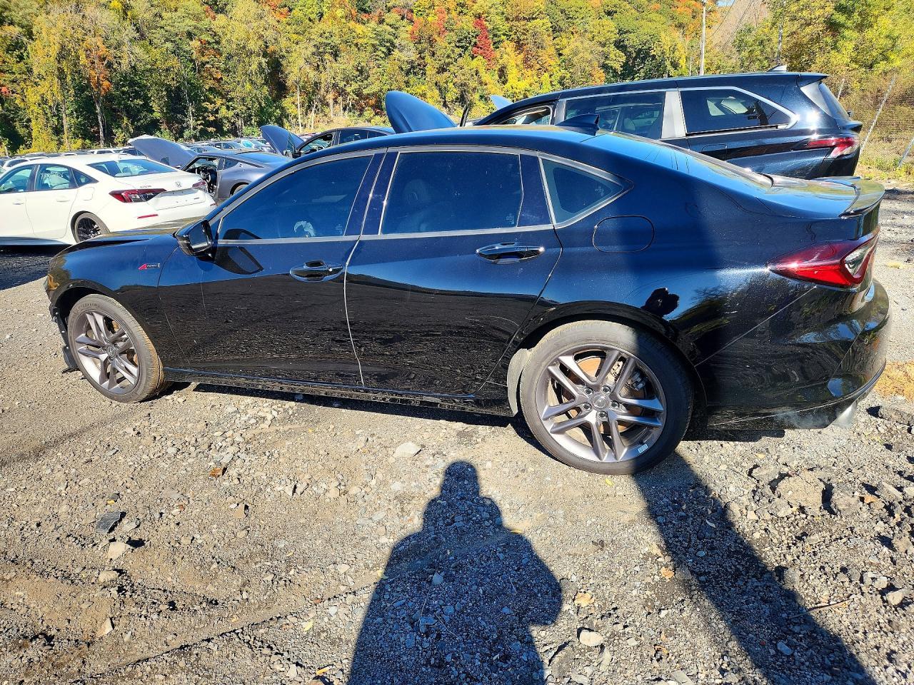 2025 Acura Tlx A-Spec - Image 2
