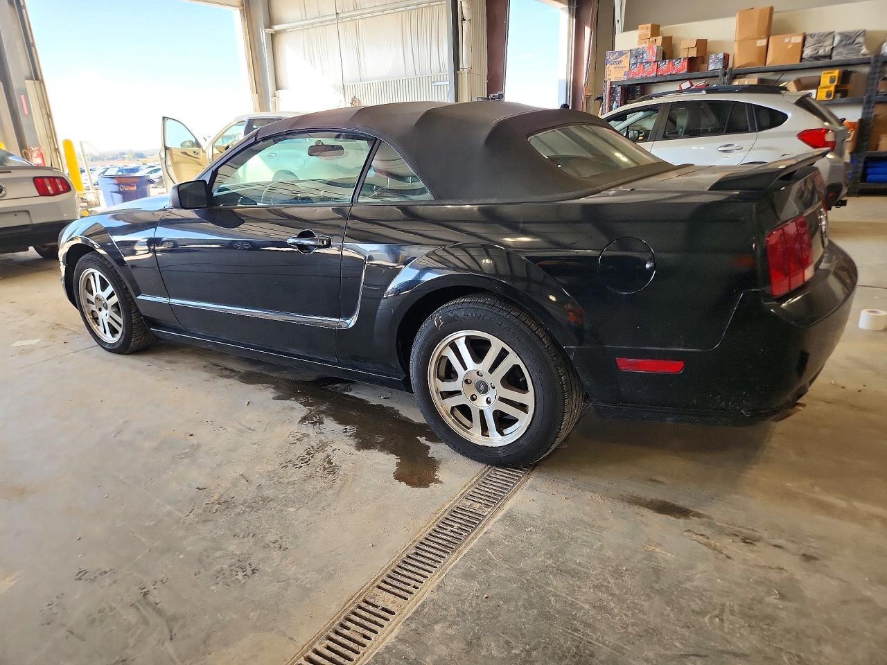 2005 Ford Mustang Gt - Image 2