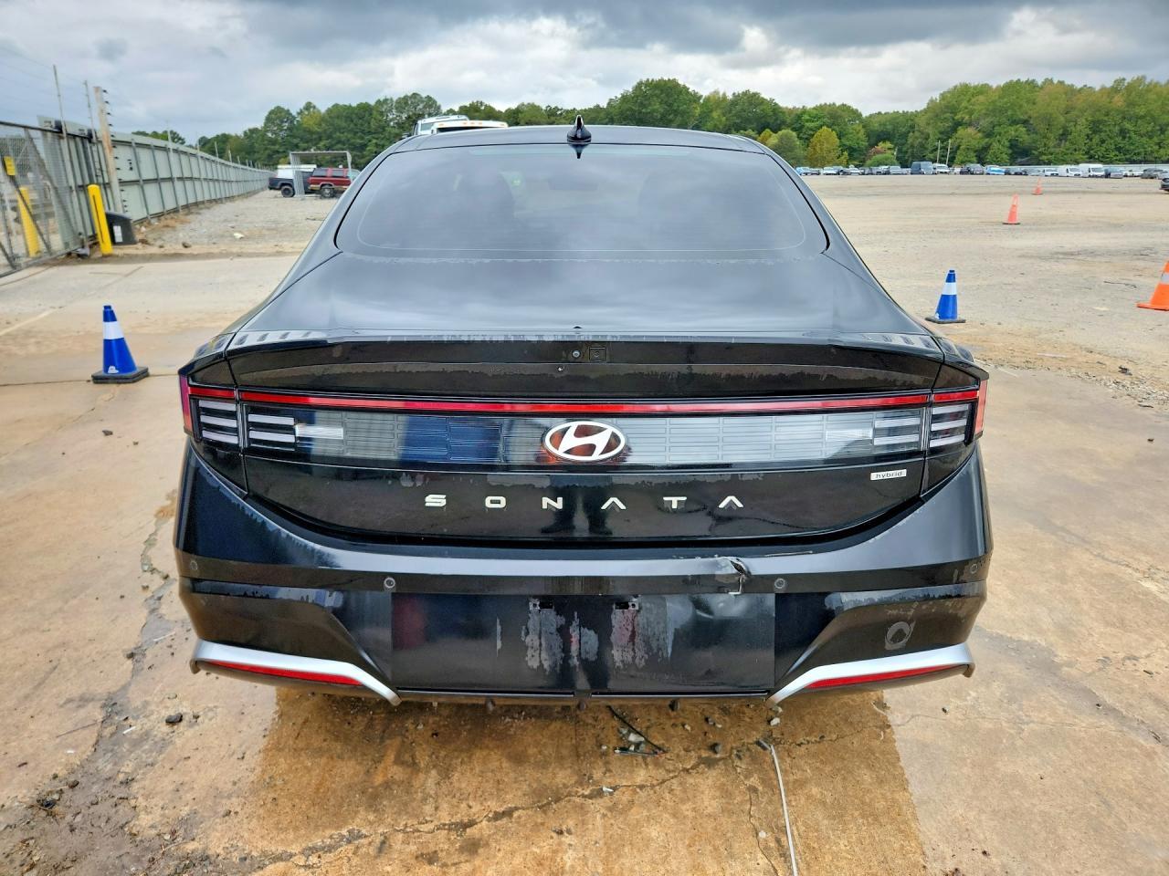 2025 Hyundai Sonata Hybrid Limited - Фото 6