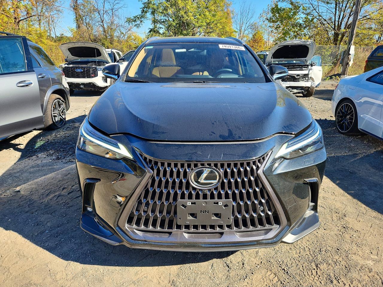 2026 Lexus Nx 450H+ Luxury - Фото 5