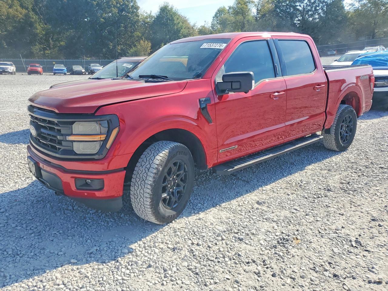 2024 Ford F150 Xlt