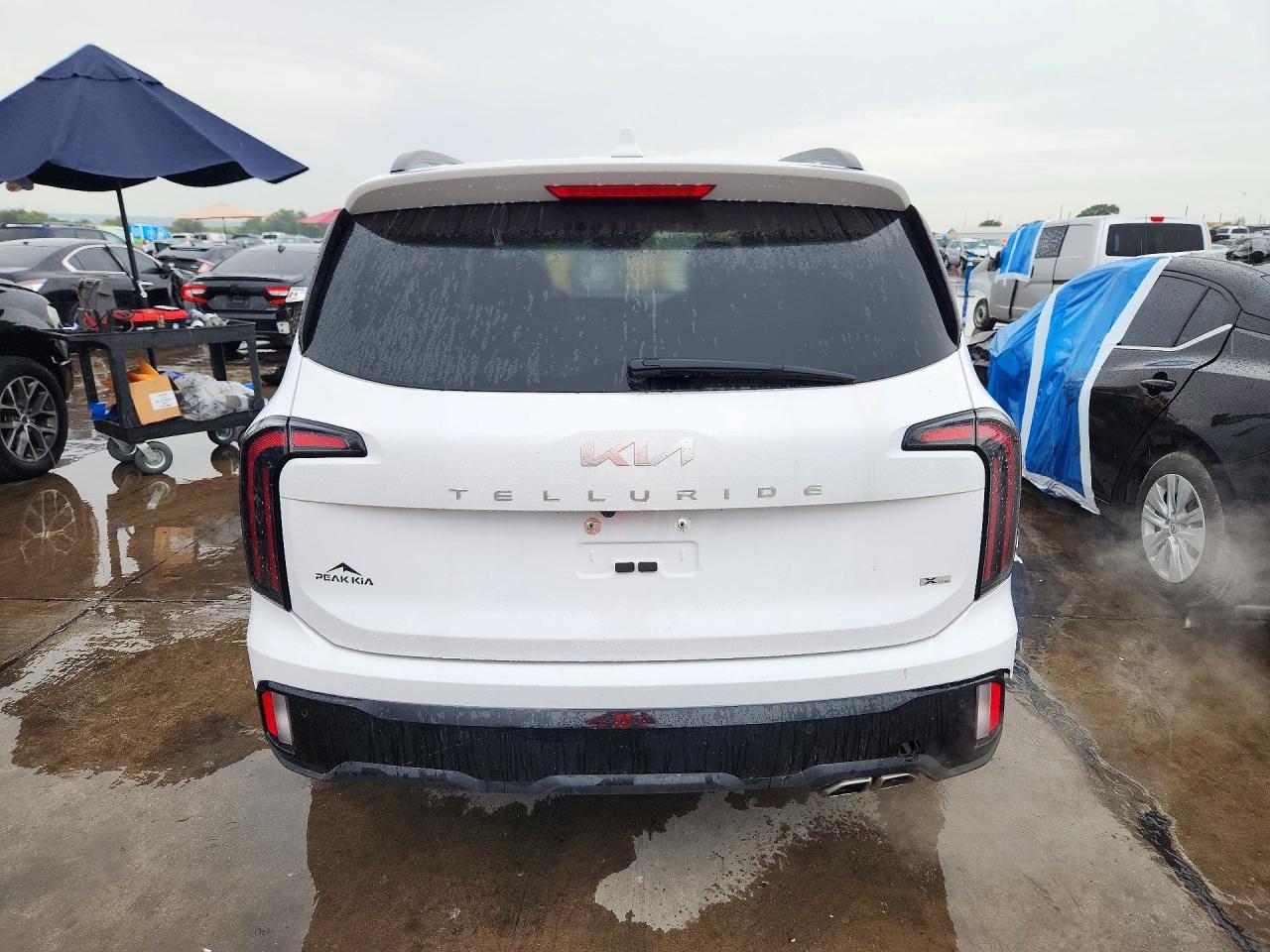 2024 Kia Telluride Sx X-Line - Фото 6