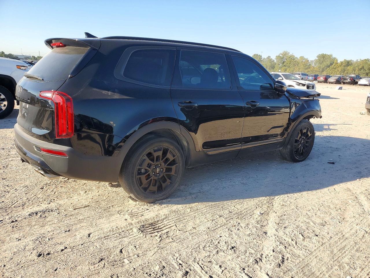 2022 Kia Telluride Sx - Фото 3