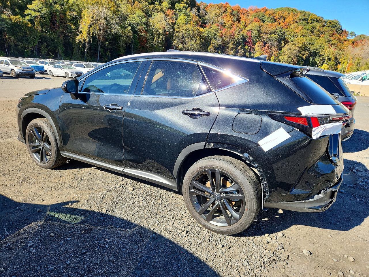 2026 Lexus Nx 450H+ Luxury - Фото 2