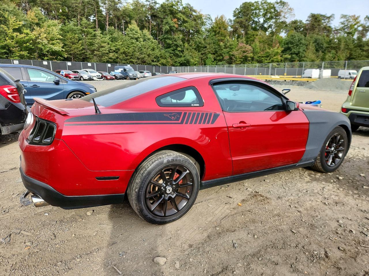 2010 Ford Mustang - Фото 3