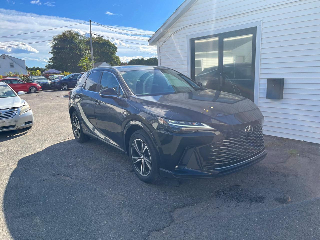 2024 Lexus Rx 350H Premium+ - Фото 4