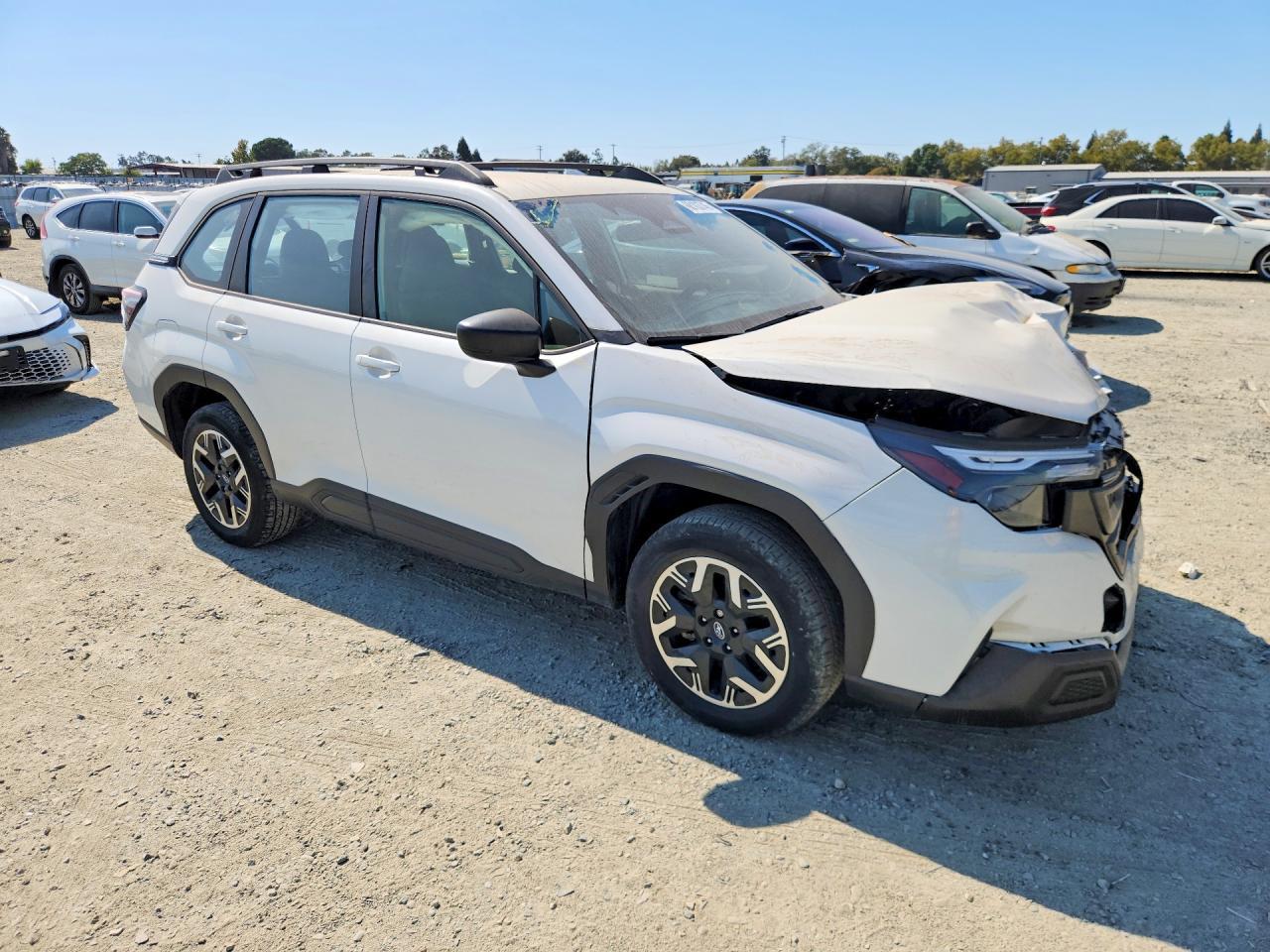 2025 Subaru Forester - Image 4