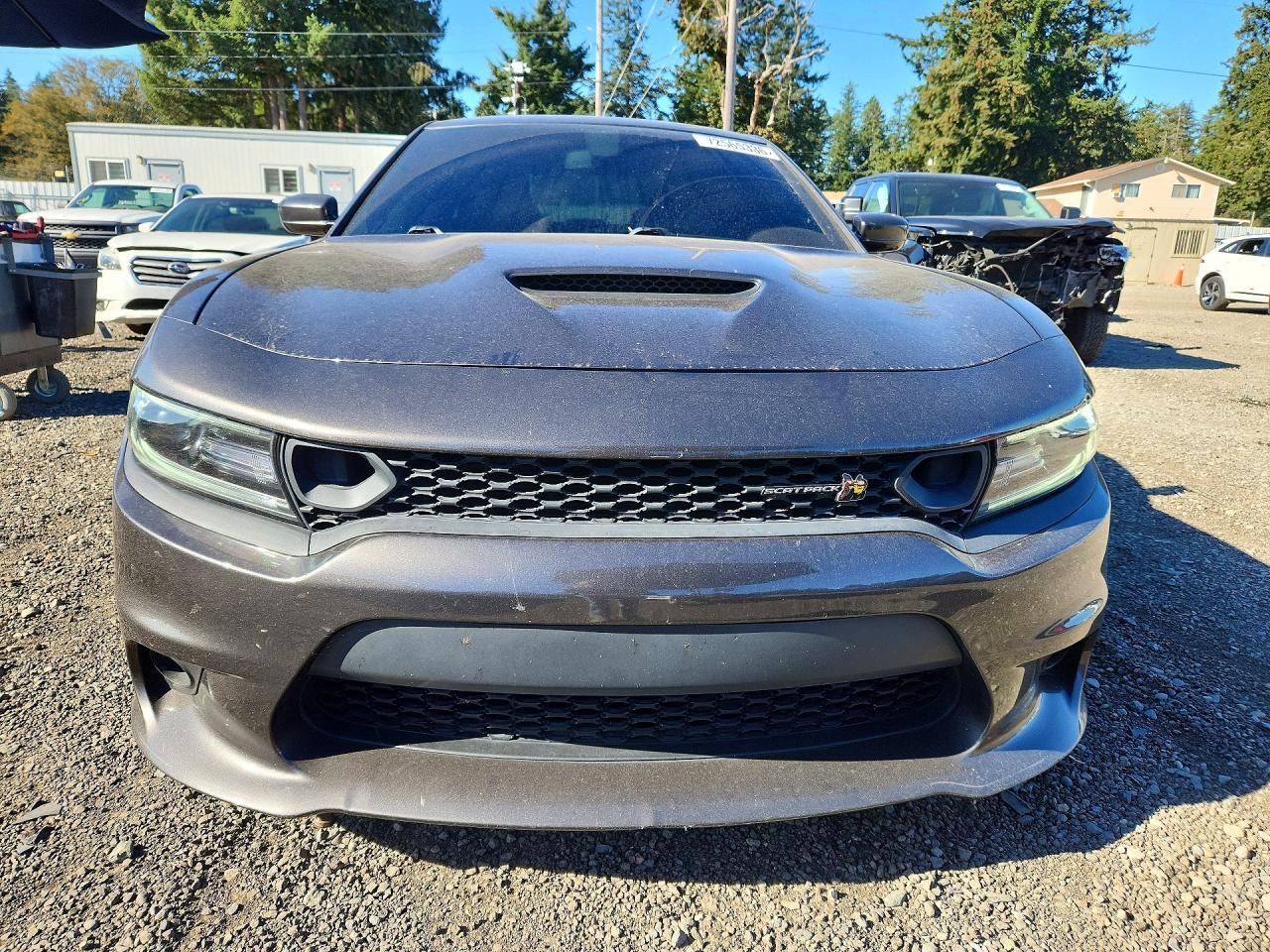 2020 Dodge Charger Scat Pack - Фото 5