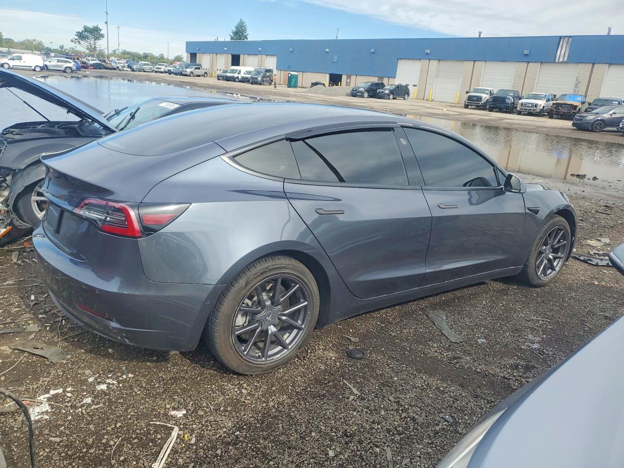 2019 Tesla Model 3 - Фото 3