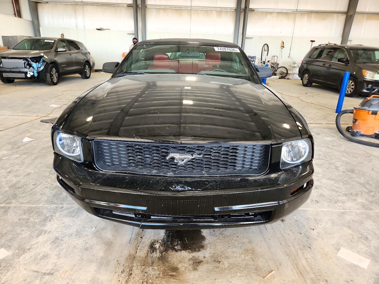 2005 Ford Mustang Gt - Image 5