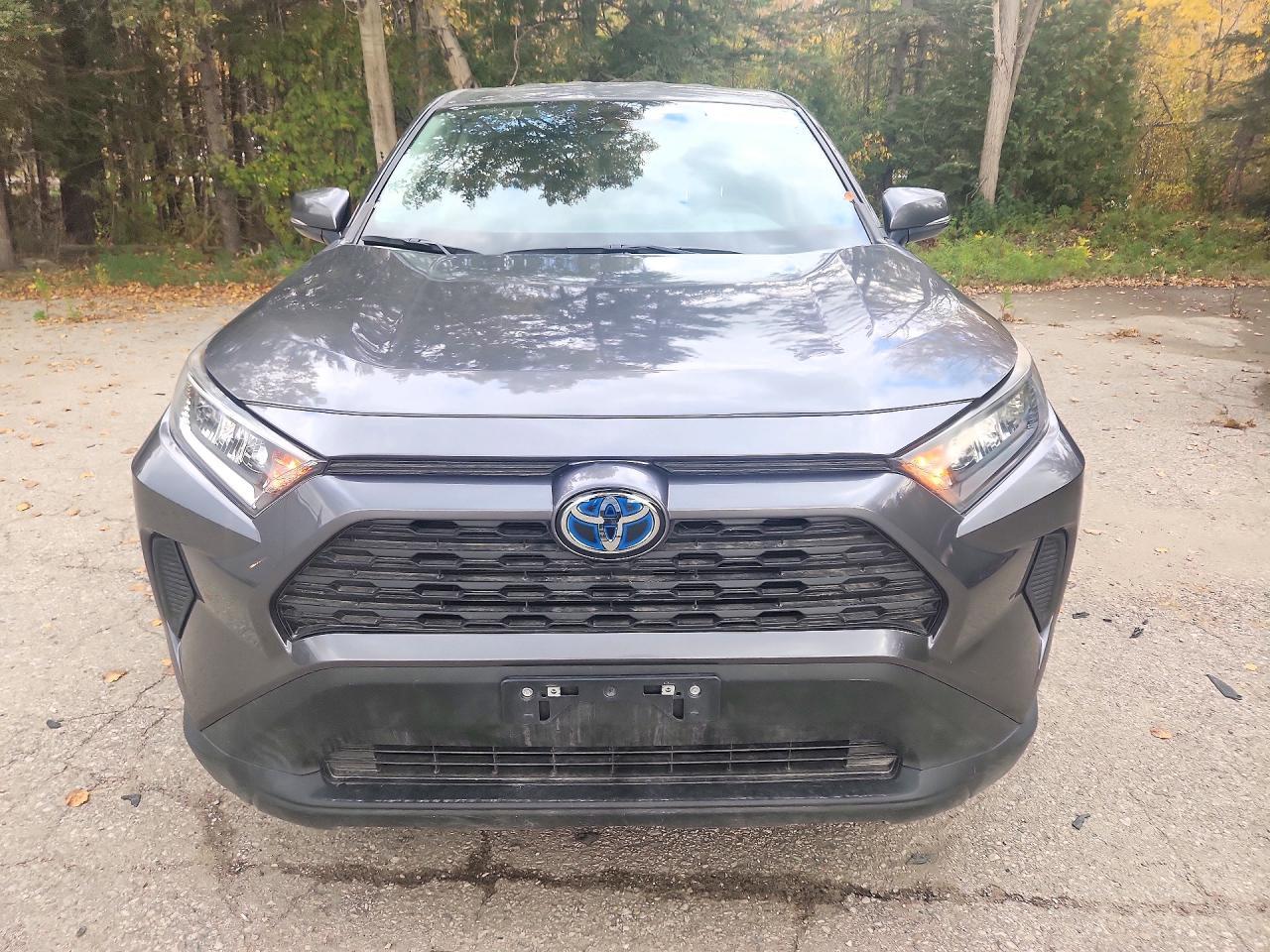 2025 Toyota Rav4 Le - Image 5