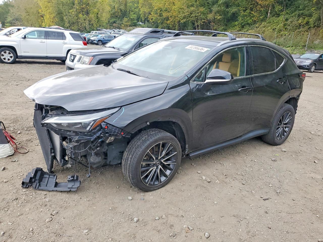 2022 Lexus Nx 350 Base