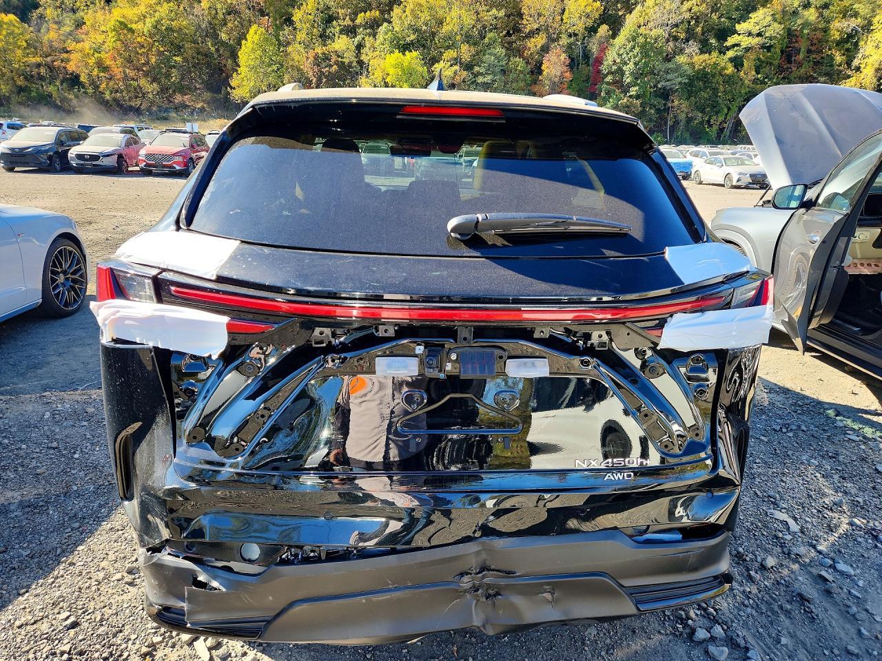 2026 Lexus Nx 450H+ Luxury - Фото 6