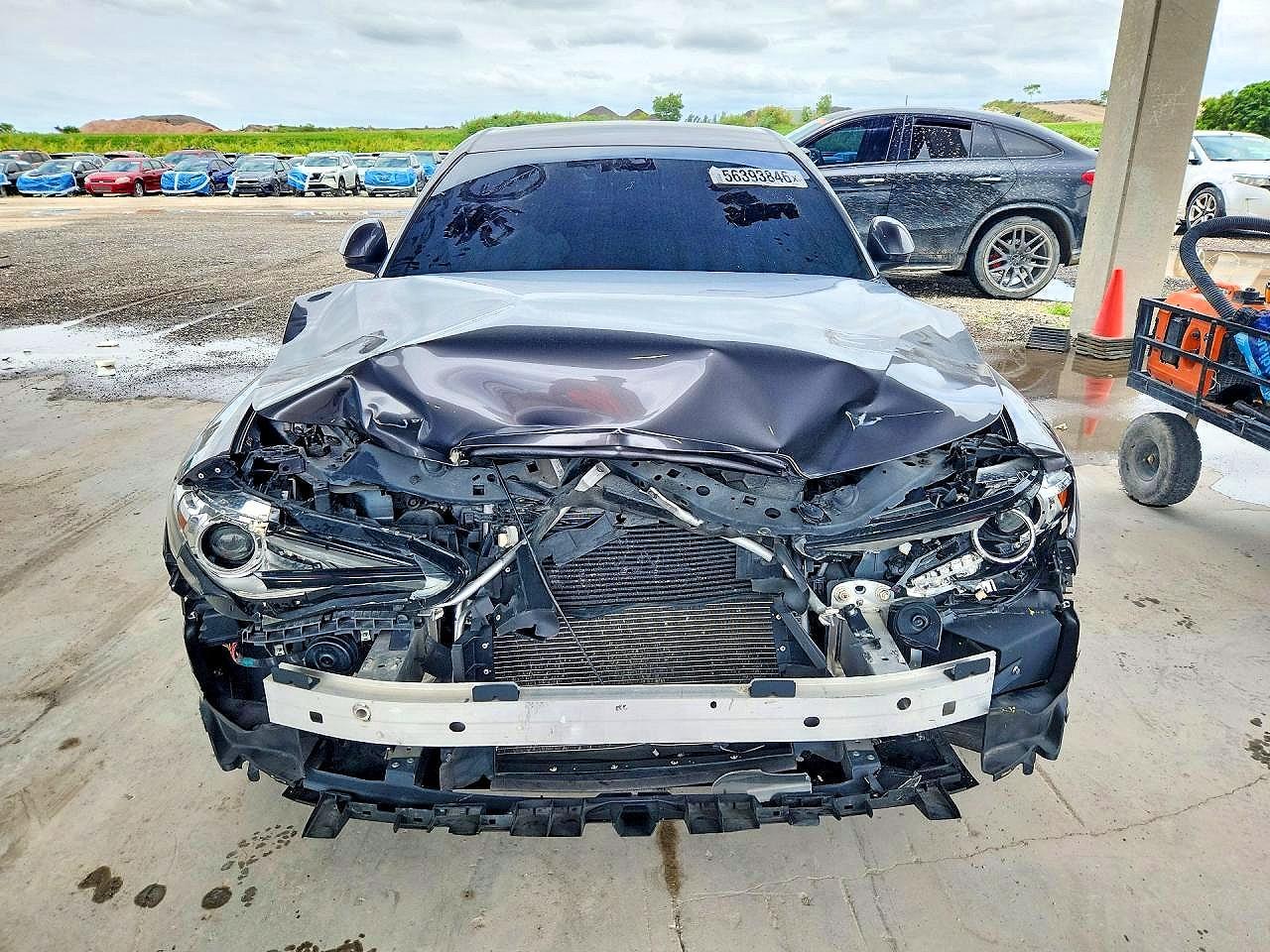 2019 Alfa Romeo Giulia - Image 5