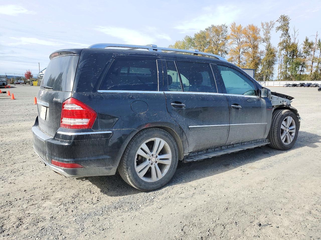 2011 Mercedes-Benz Gl 450 4Matic - Фото 3
