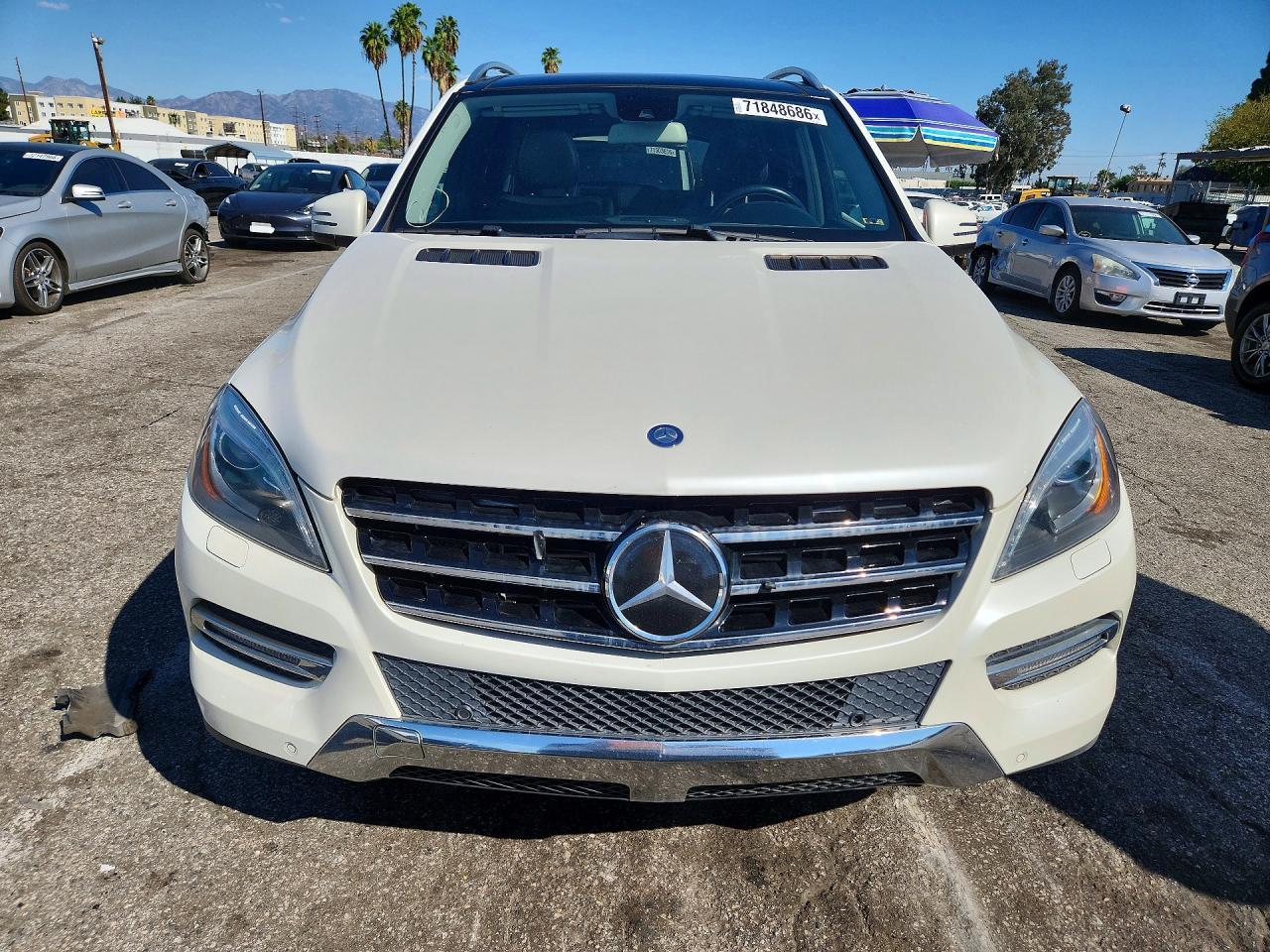2013 Mercedes-Benz Ml 350 Bluetec - Image 5