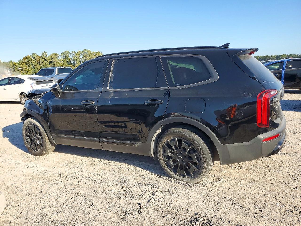 2022 Kia Telluride Sx - Фото 2