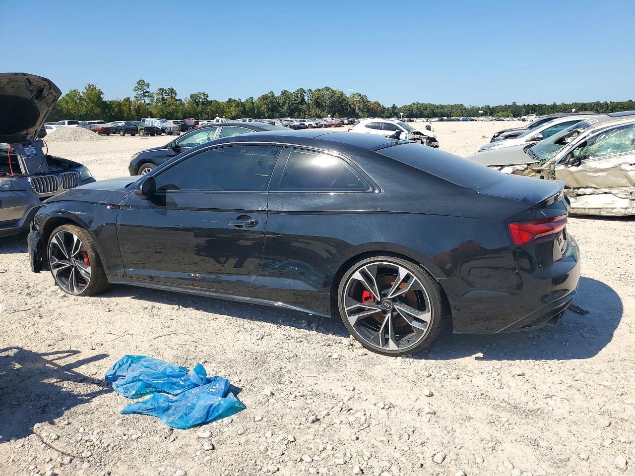 2023 Audi S5 Premium Plus - Image 2