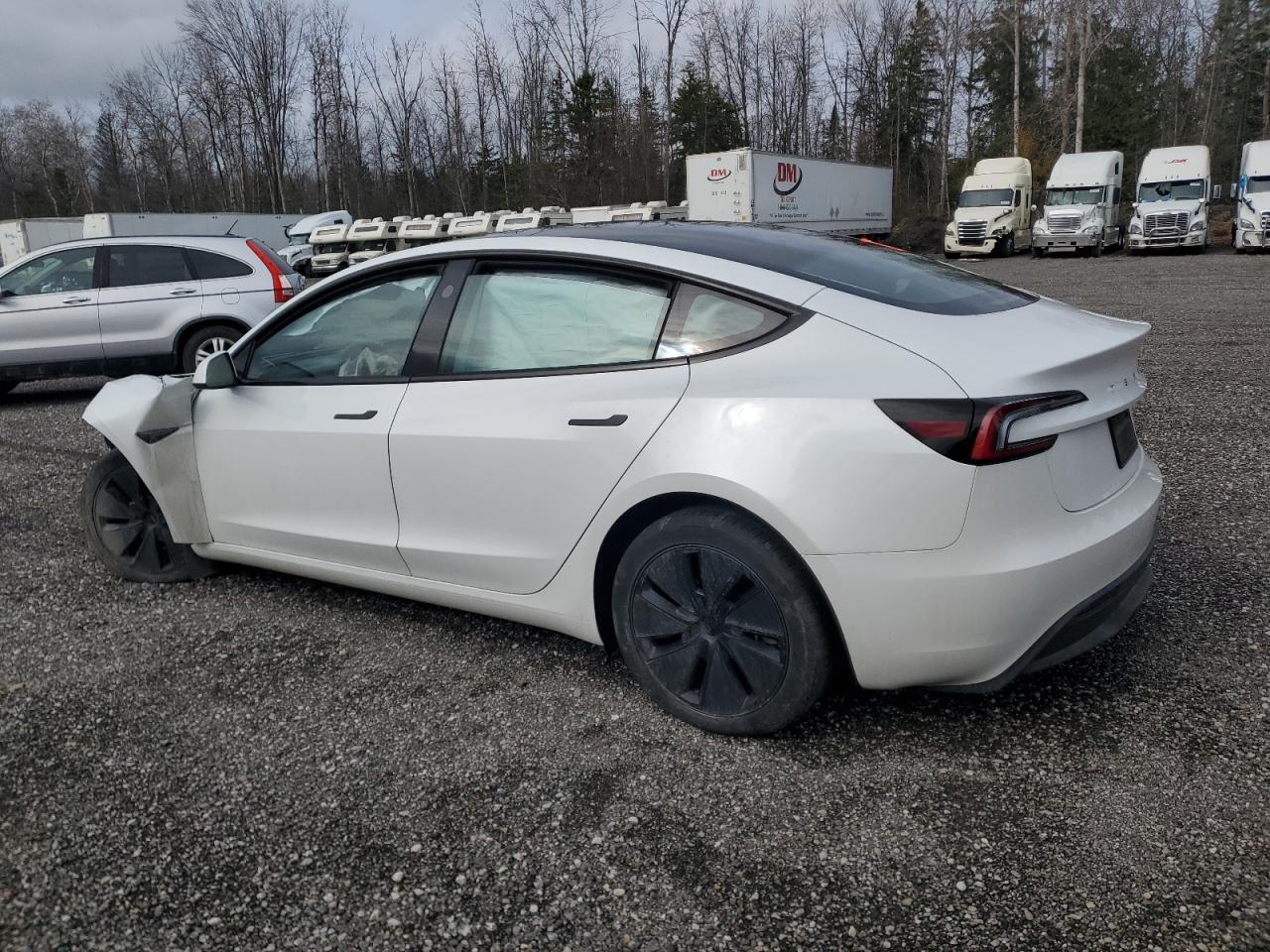 2024 Tesla Model 3 - Фото 2