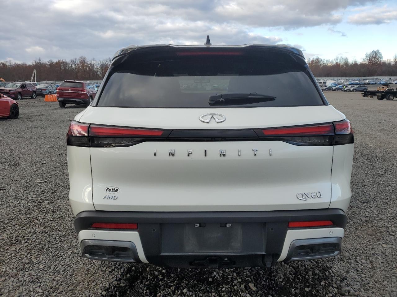 2023 Infiniti Qx60 Autograph - Фото 6