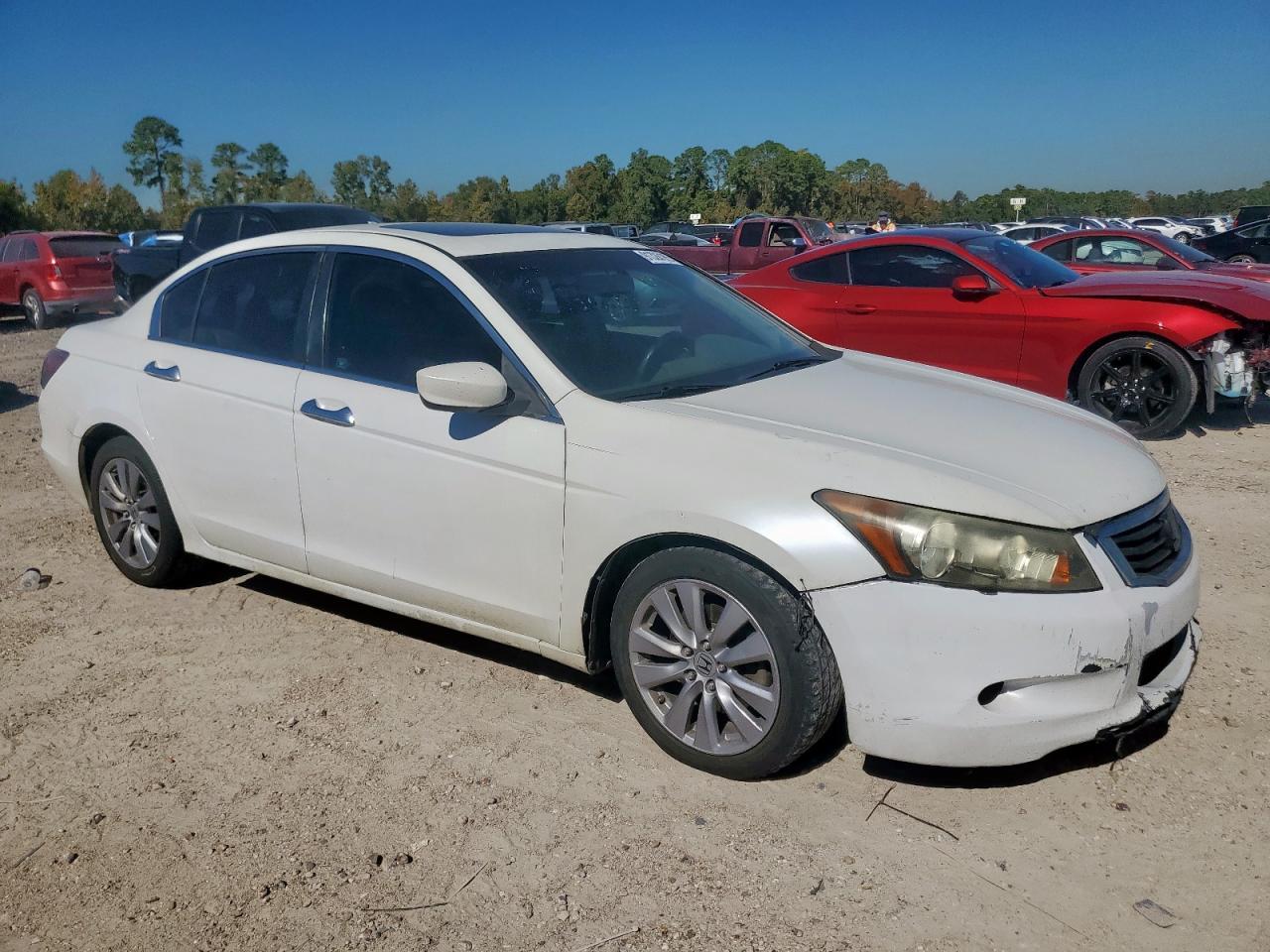 2009 Honda Accord Exl - Image 4