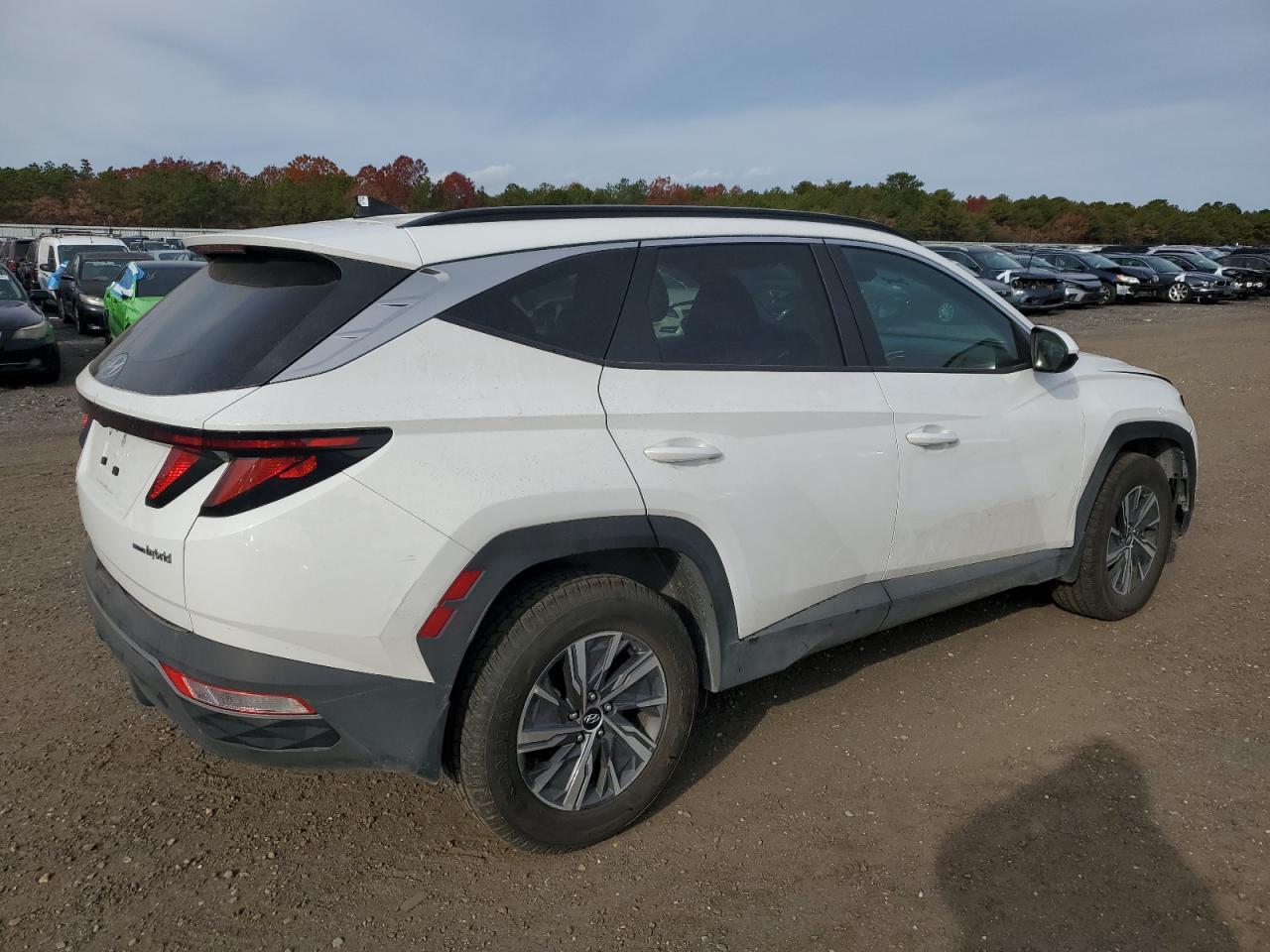 2024 Hyundai Tucson Blue - Фото 3