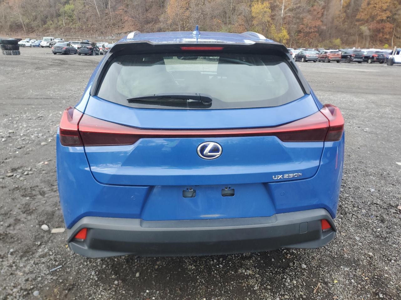 2022 Lexus Ux 250H Base - Фото 6