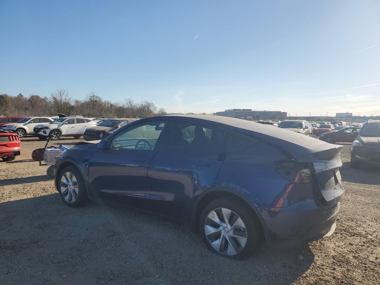 2023 Tesla Model Y - Фото 2